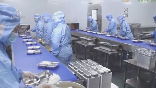 日生产营养餐4万份 1小时清洗加工1.2吨蔬菜 湖南规模最大中央厨房在株试运行